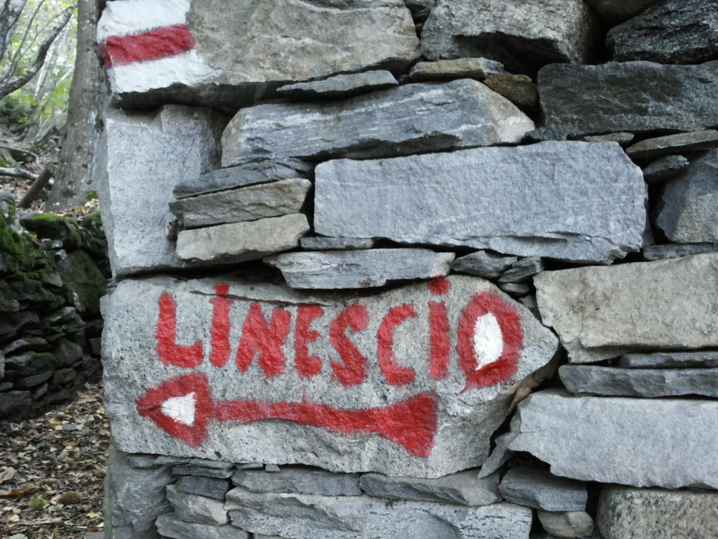 Guesthouse By Wild Linescio エクステリア 写真